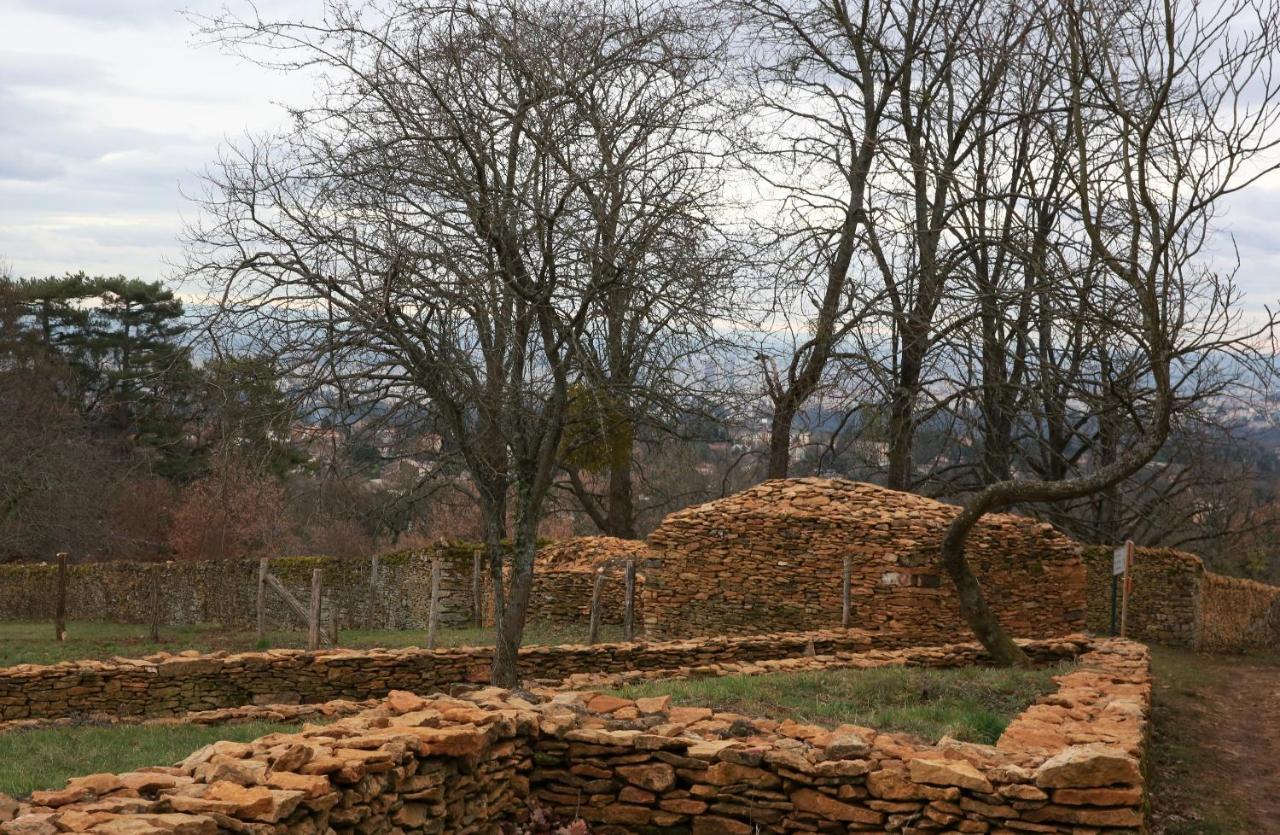 Maison Cube Saint-Didier-au-Mont-d'Or Zewnętrze zdjęcie